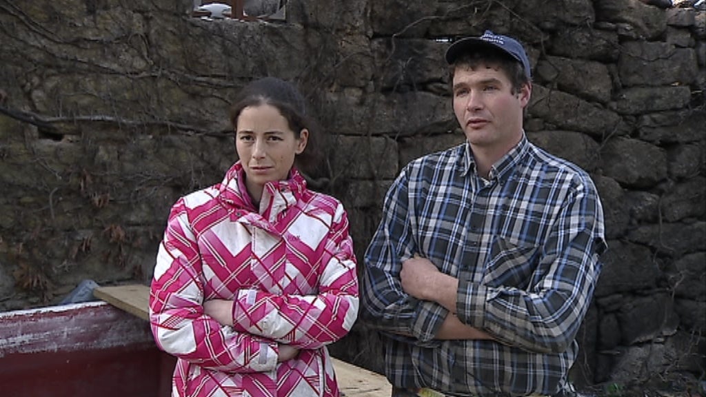 Apoios às vítimas dos incêndios