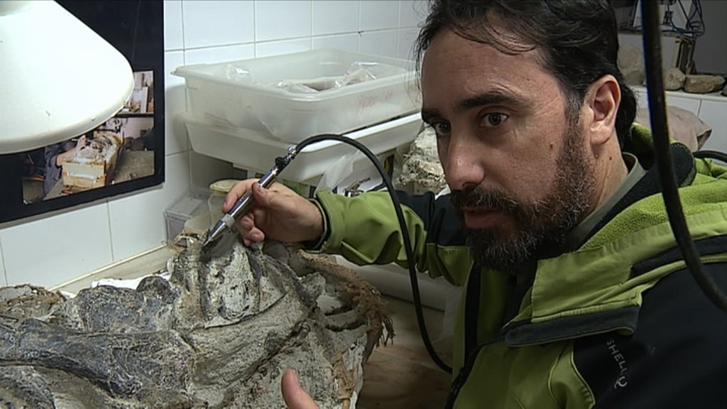 A pegada de Octávio