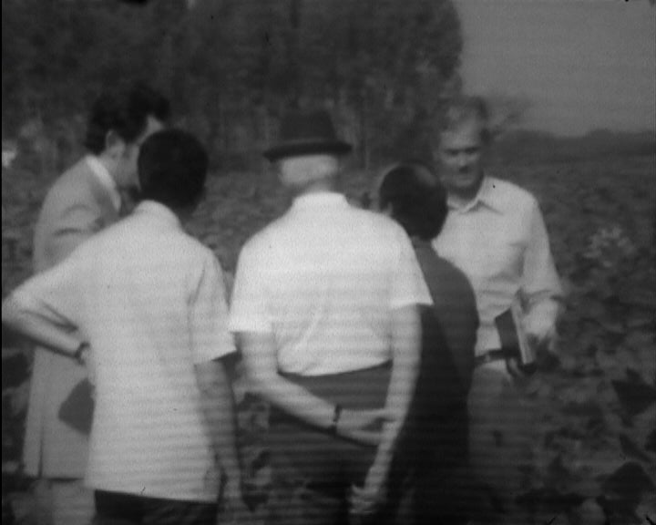 António Barreto Visita Plantação de Tabaco