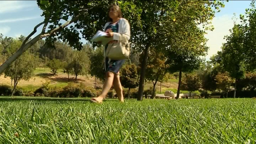 Caso de violência doméstica