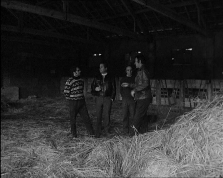 Agricultura de grupo em Lamosa