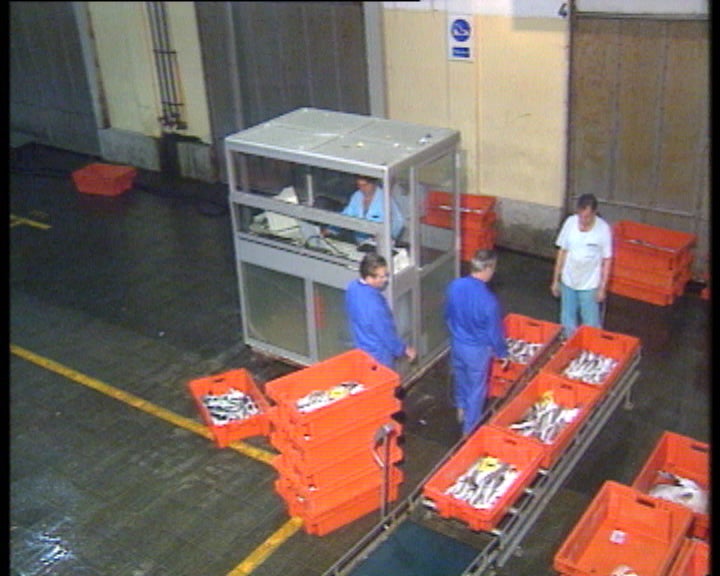 Pescadores portugueses