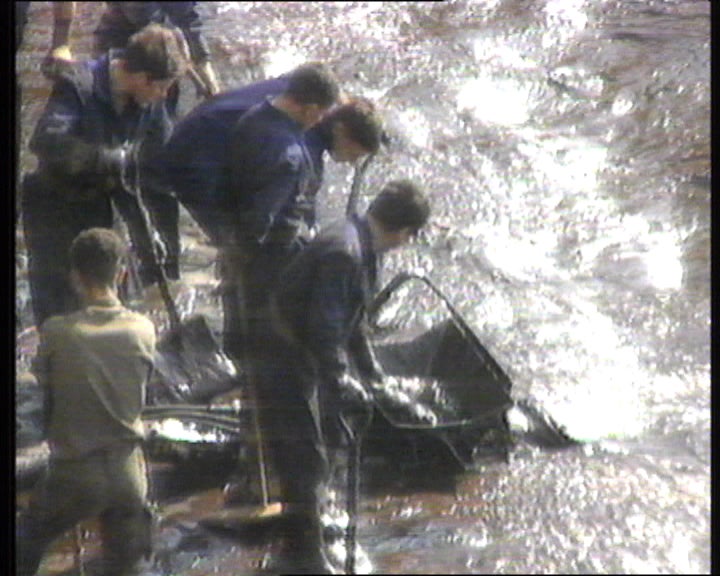 Marés negras na costa portuguesa