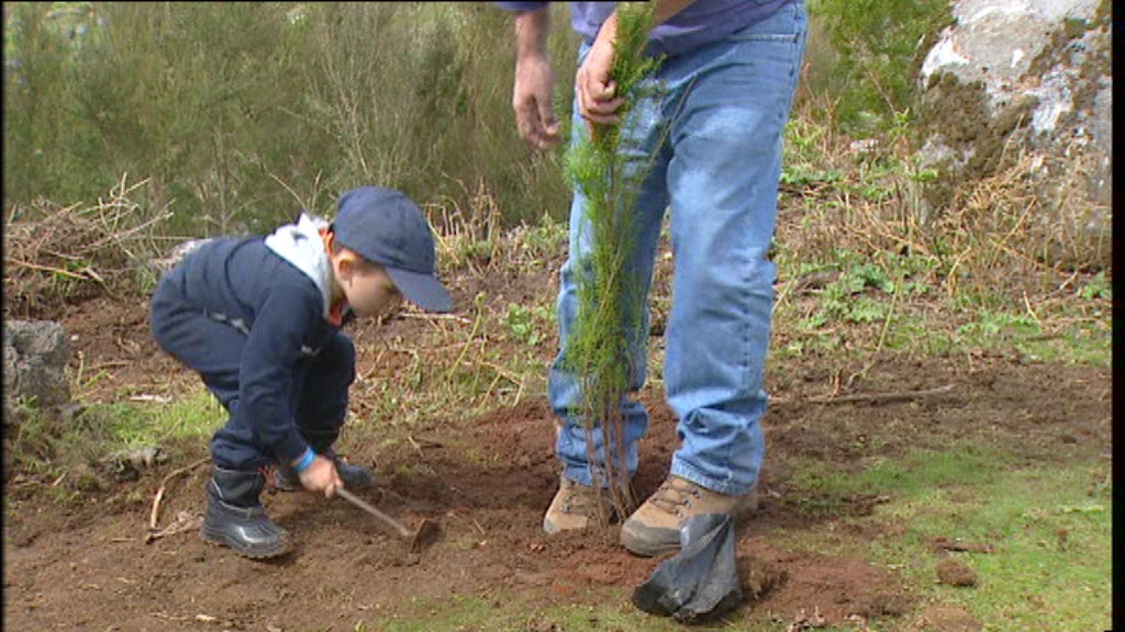 Ação de reflorestação na Meia Serra