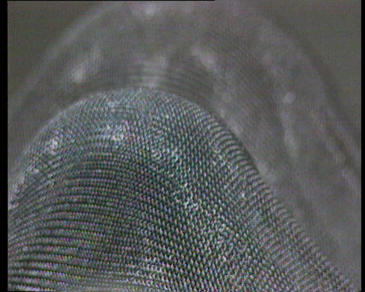 Exposição de Cildo Meireles