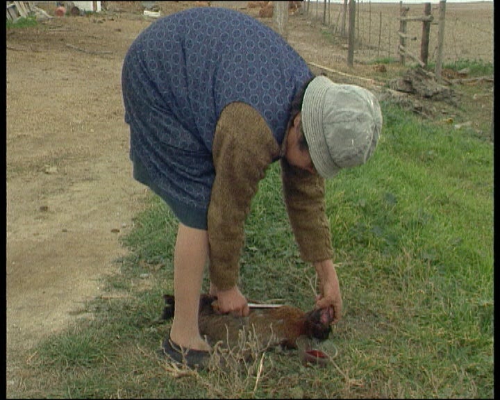 Ano Novo , vida velha
