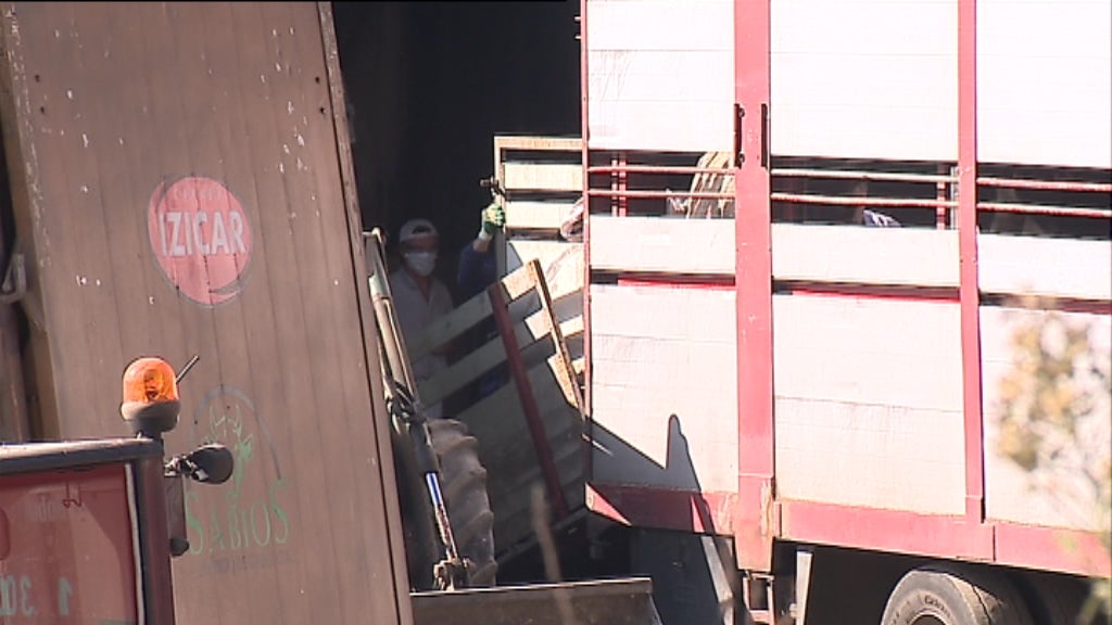 Incêndio em Vacaria