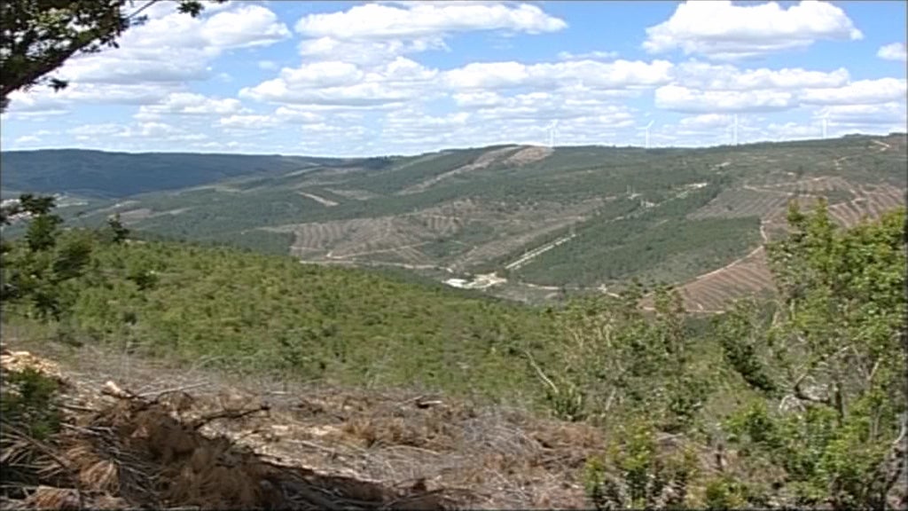 Caça na Serra da Malcata