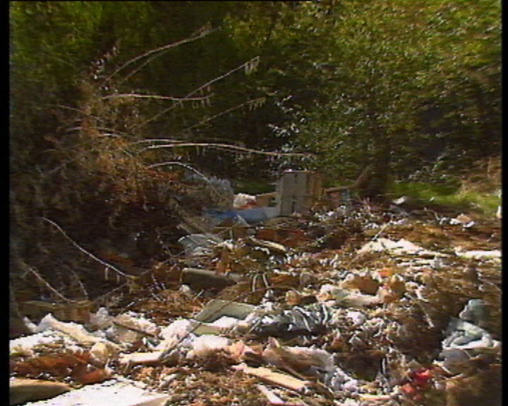 Fernando Pessa no jardim do Areeiro