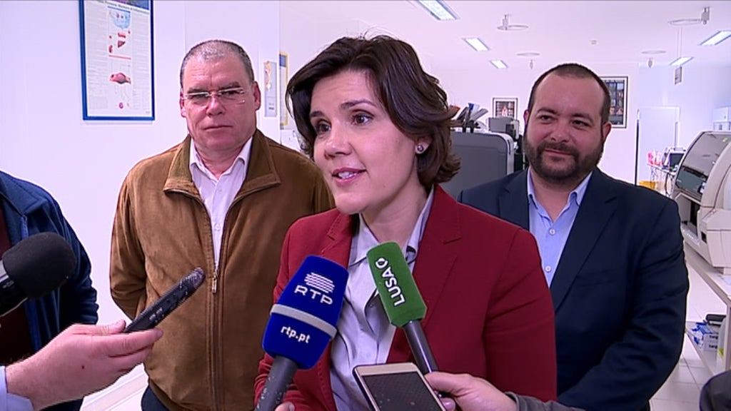 Declarações de Assunção Cristas