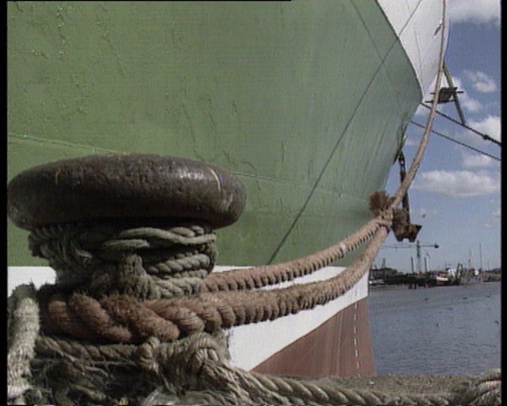 Opinião dos pescadores de Aveiro