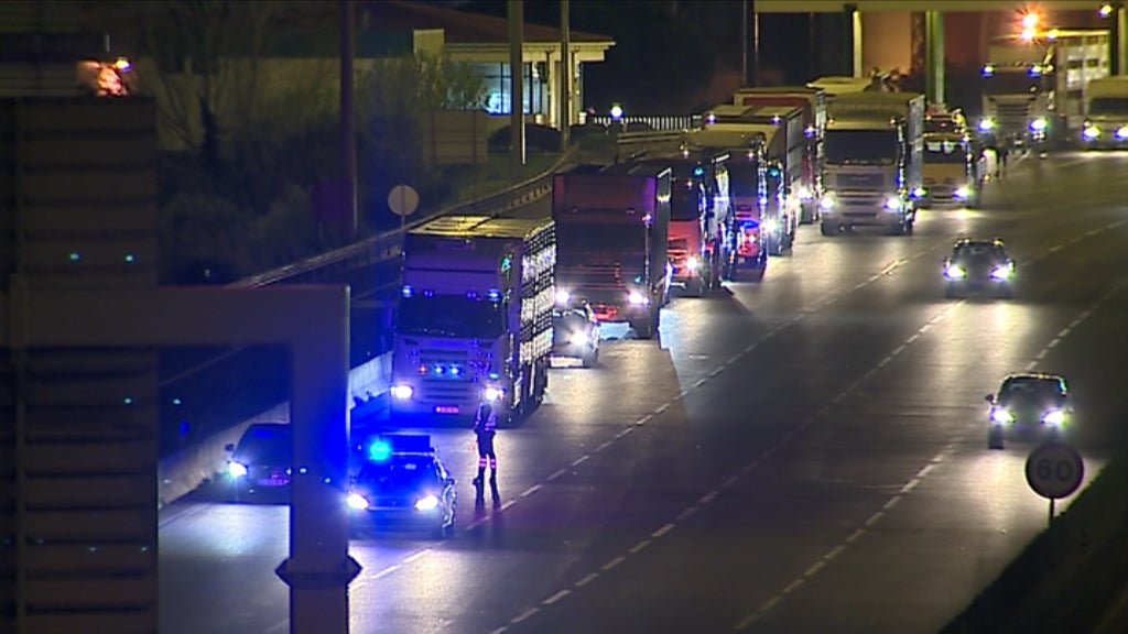 Protesto dos suinicultores