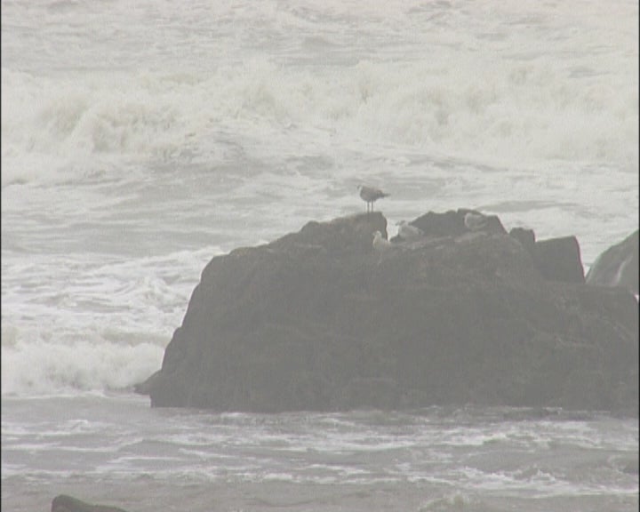 Polvos deram à costa