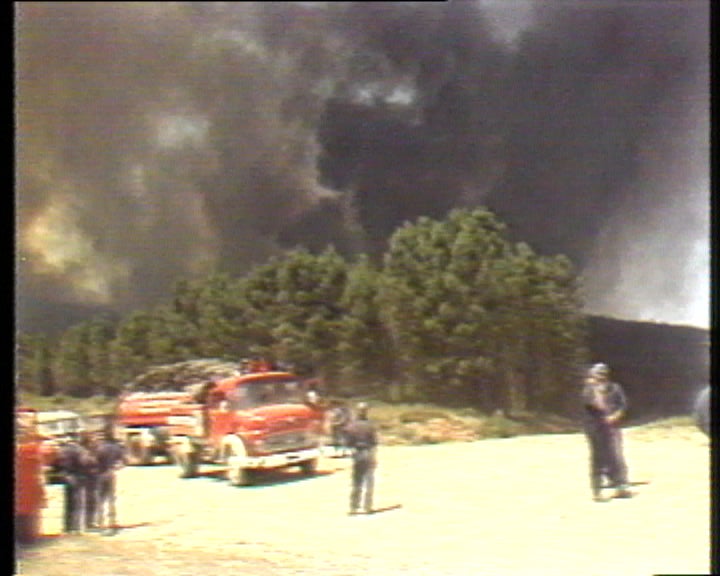 Incêndios florestais