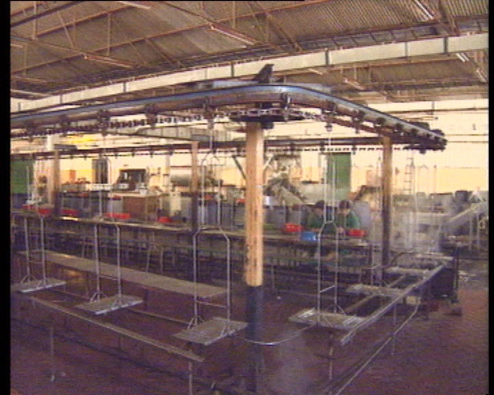 Despedimentos em complexo agro-industrial