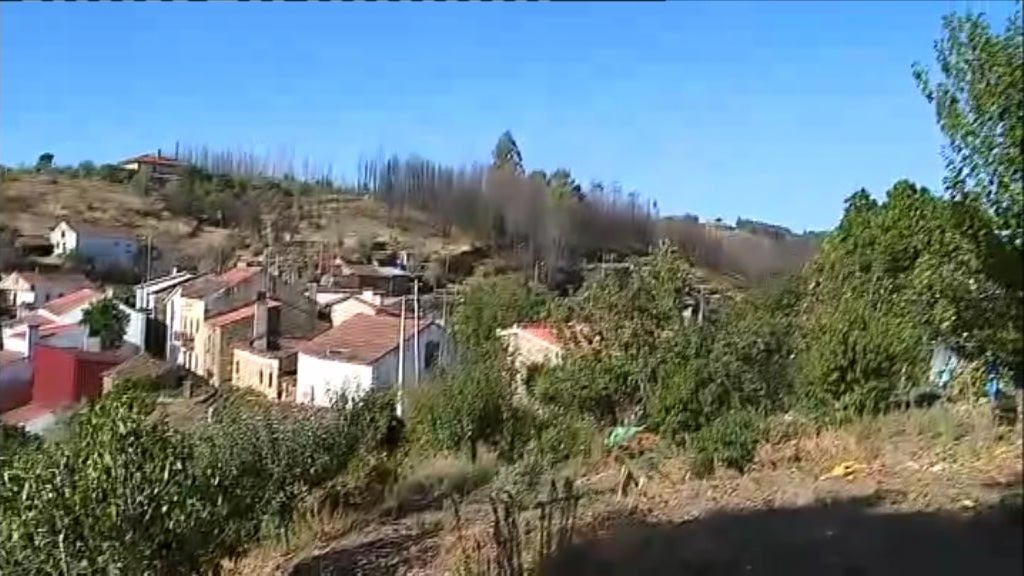 Proença-a-Nova recupera dos incêndios de verão