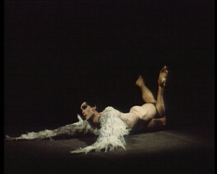 Espetáculo de bailado “Lago dos Cisnes”