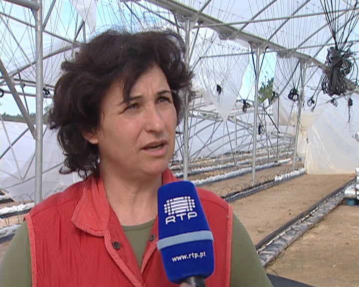 Oeste um mês depois