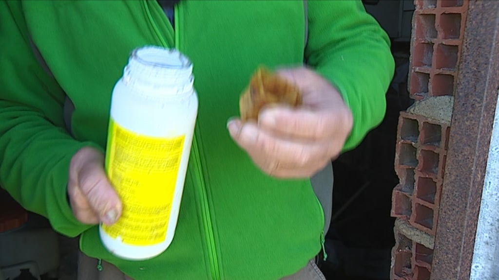 Contaminação por pesticida