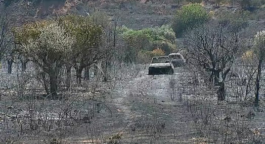 Rescaldo do incêndio florestal na Serra de Monchique