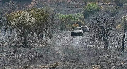 Rescaldo do incêndio florestal na Serra de Monchique