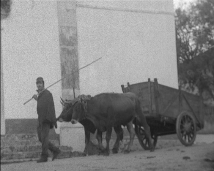 109º aniversário de Maria Alves de Jesus
