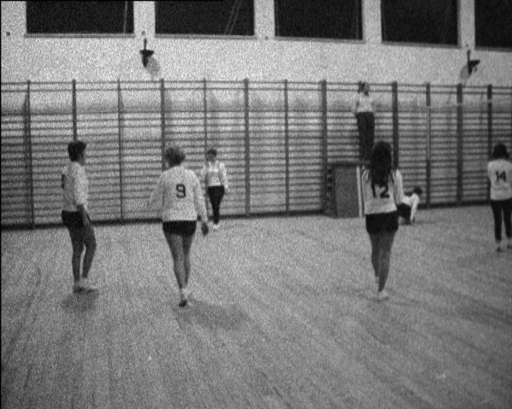 Voleibol Feminino: SL Benfica vs CIF