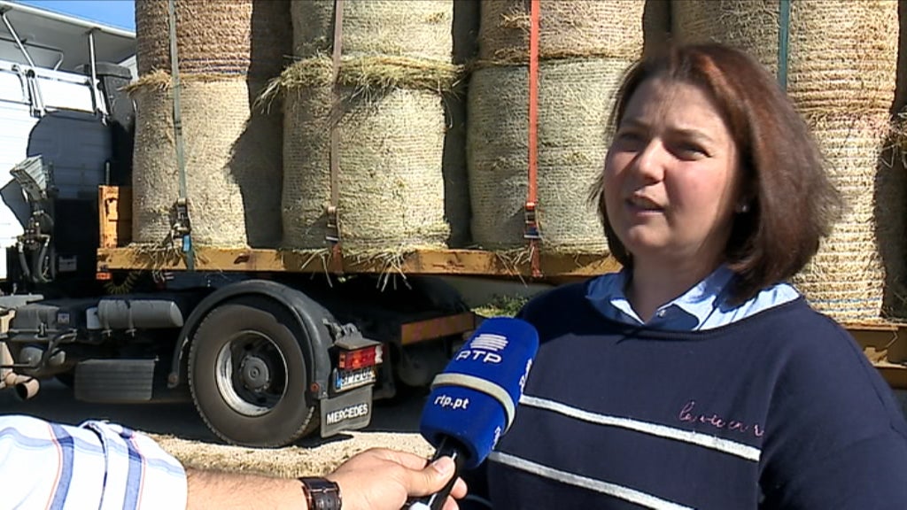 Solidariedade no Sabugal