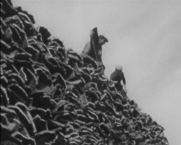 Indústria da cortiça em Portugal