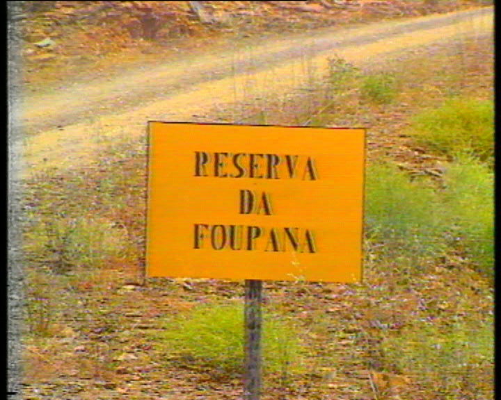 Repovoamento da Serra do Caldeirão