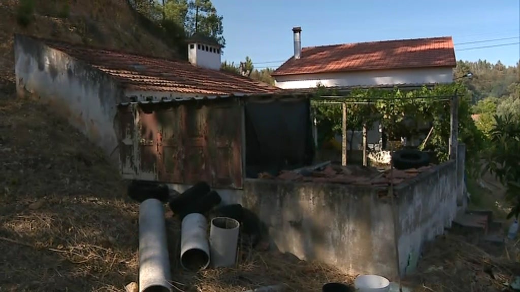 Incêndio florestal em Abrantes