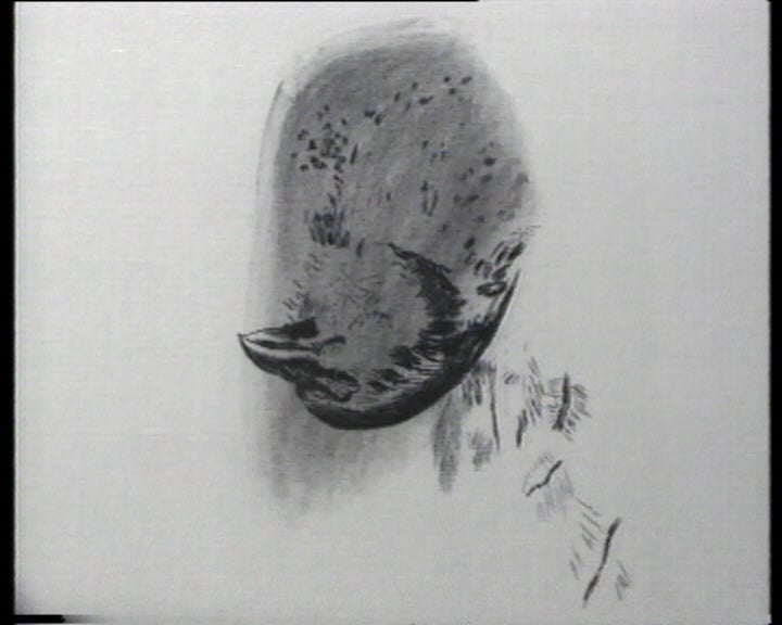 Entrevista a Graça Morais