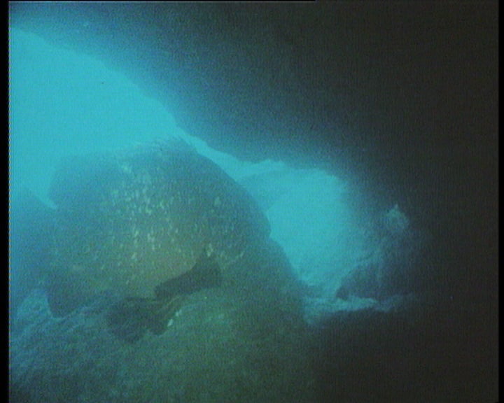 2ª Conferência Internacional de Oceanografia