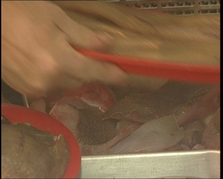 Ria Formosa e gastronomia de Olhão