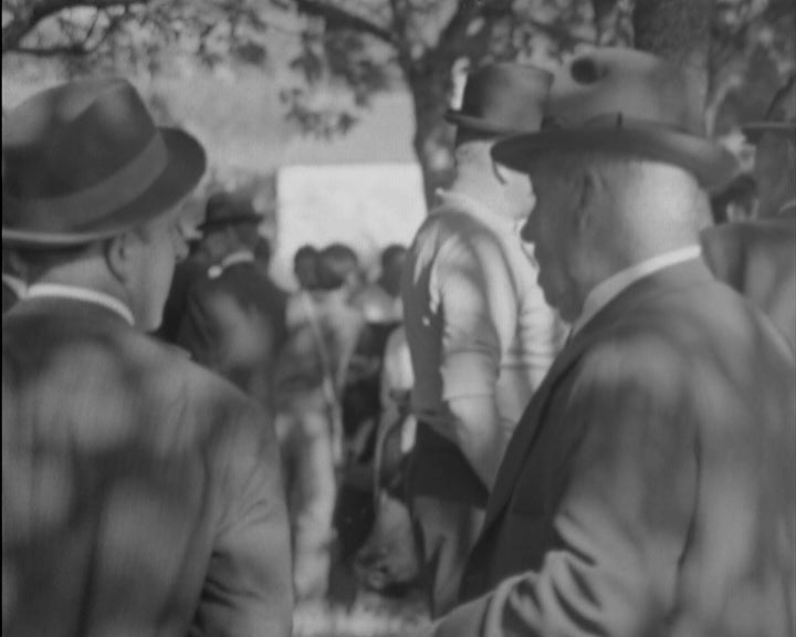 Concurso pecuário na Maia