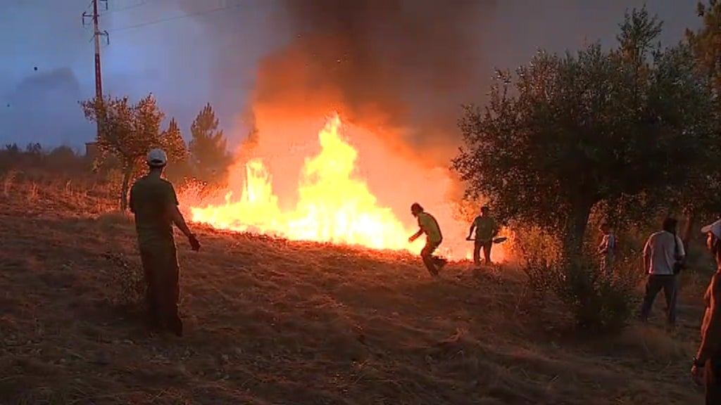 Incêndio florestal em Mação