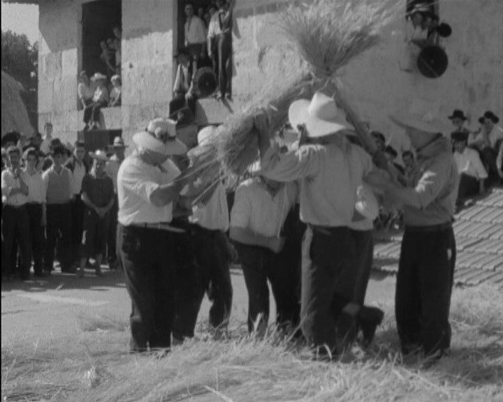 Malhada na Quinta do Cabo em Paredes