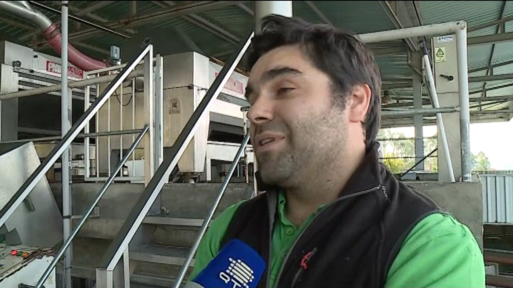 Vindimas em Melgaço na Adega Quintas de Melgaço