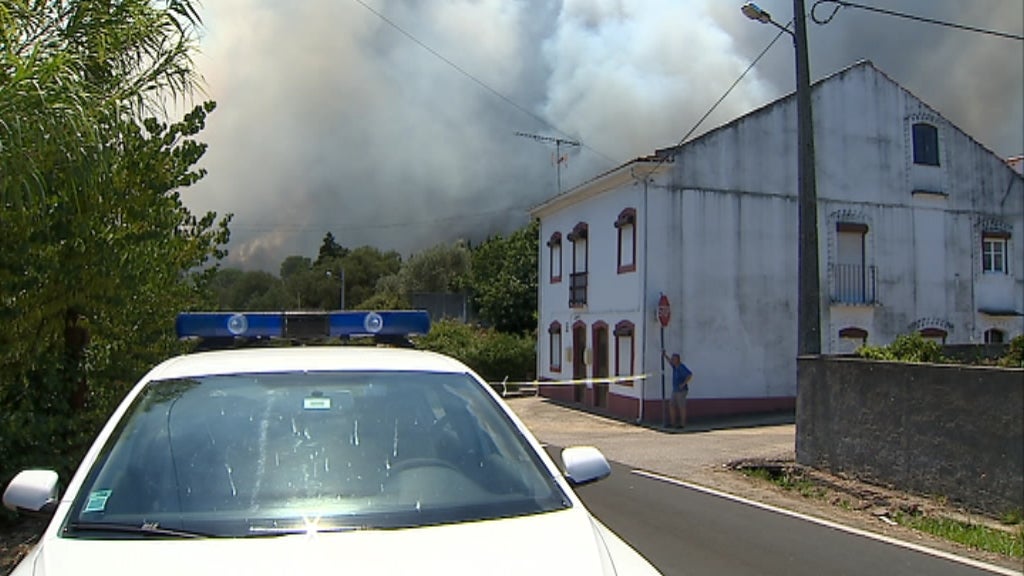 Incêndio florestal em Tomar
