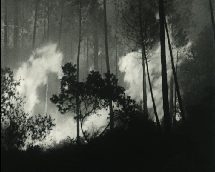 Incêndio na Serra de Sintra em 66