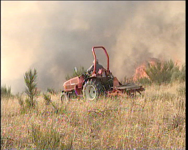 Conferência Mundial do Ambiente