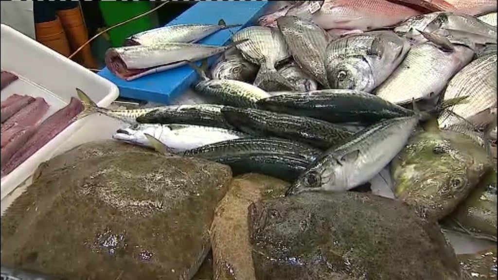 “Portimão à Mesa” I