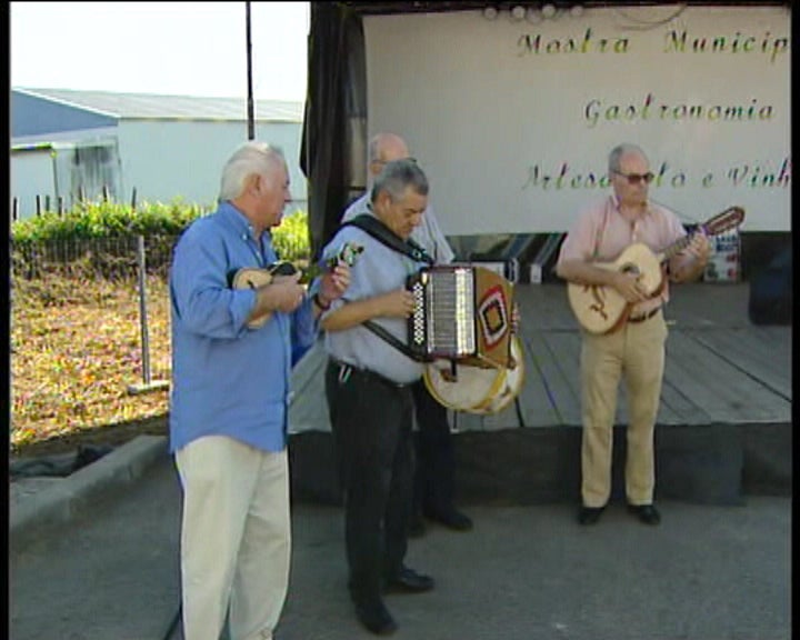 VII Mostra de Gastronomia de Vale de Cambra