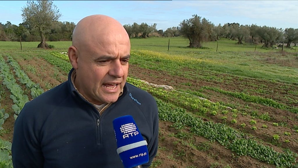 Agricultores proibidos de aplicar fitofármacos