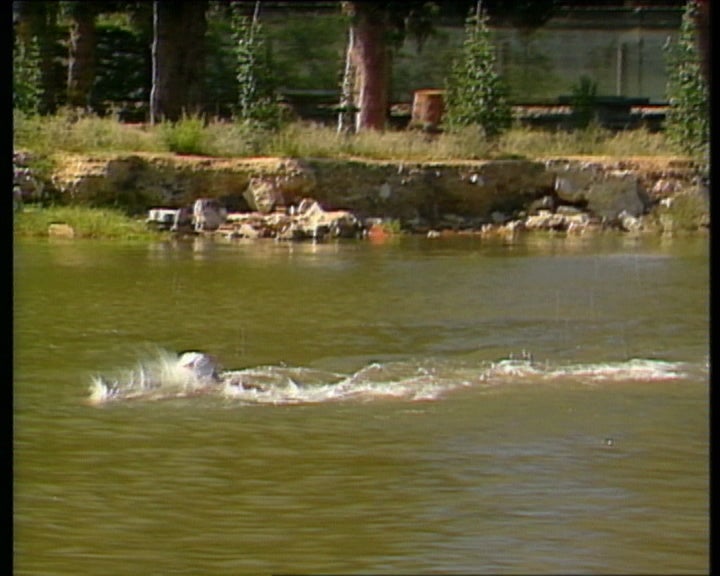 Natação: Travessia do Tejo
