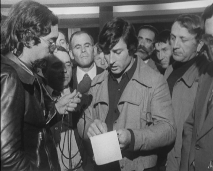 Comercialização de gado bovino em Portugal