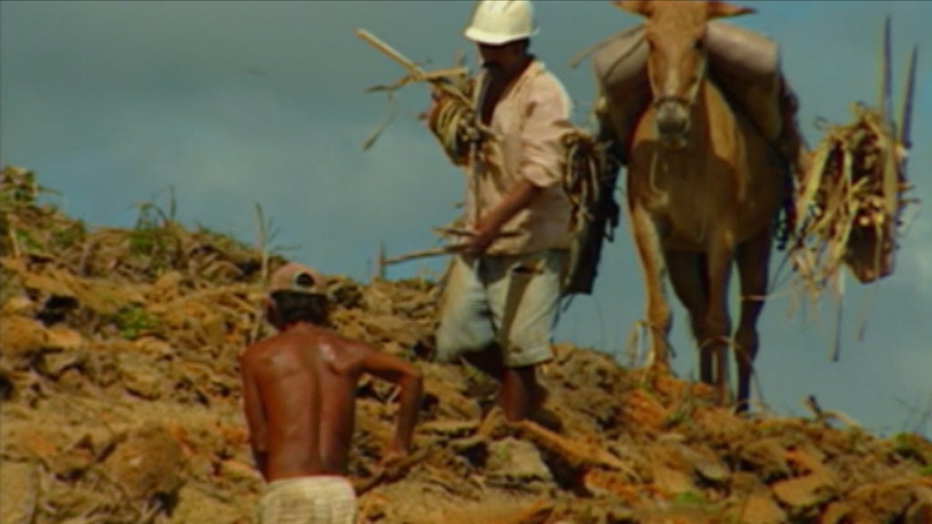 Livro de Itamar Vieira Júnior