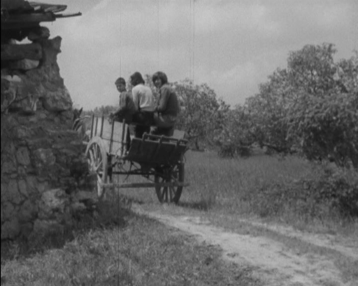 Cooperativas – Parte I