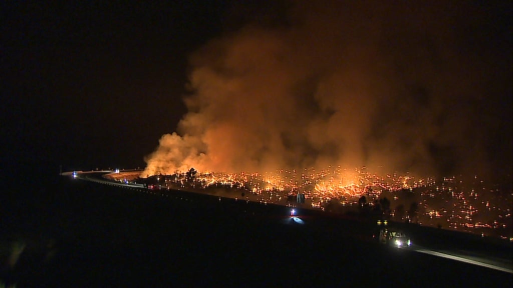 Incêndio florestal em Alijó