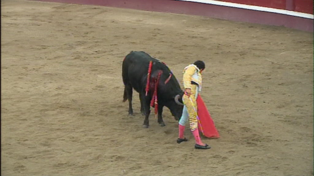 Último dia das festas Sanjoaninas na Terceira
